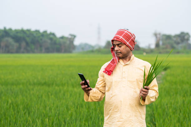 A Leaf, a Phone, and a Better First Step: How AI Can Help Farmers Protect Their Crops
