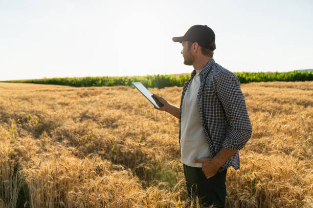 Why Healthy Soil Matters: Understanding NPK and Crop Nutrition